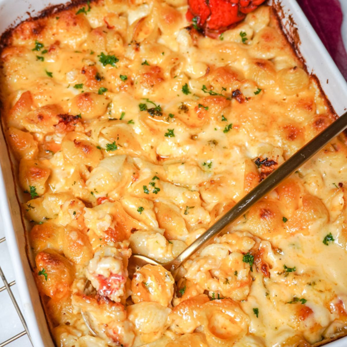 The Best Lobster Mac and Cheese