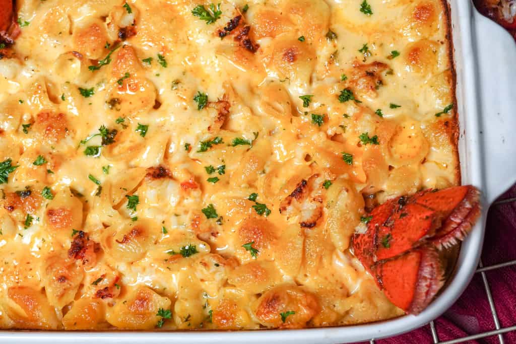 lobster mac and cheese with lobster shells tucked in for garnish purposes