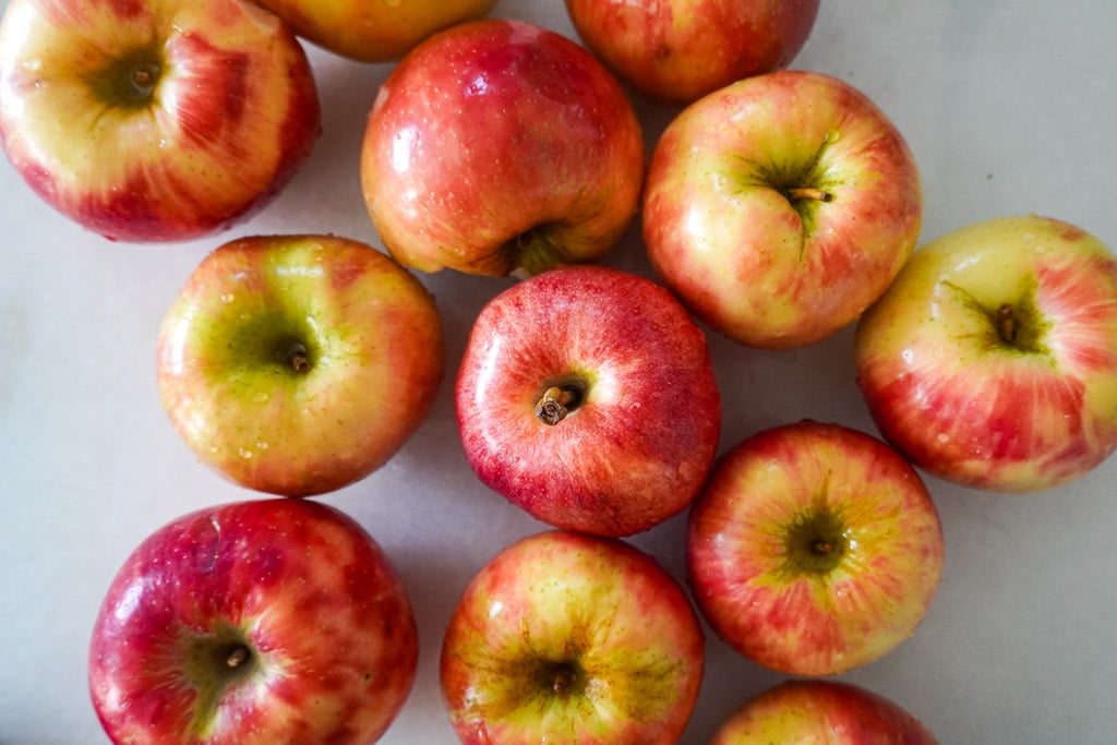 honeycrisp apples on the counter top