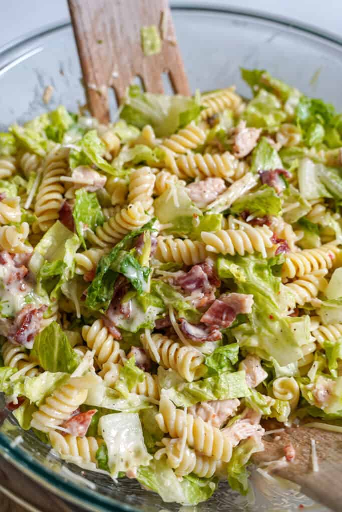 creamy chicken caesar pasta salad in a bowl