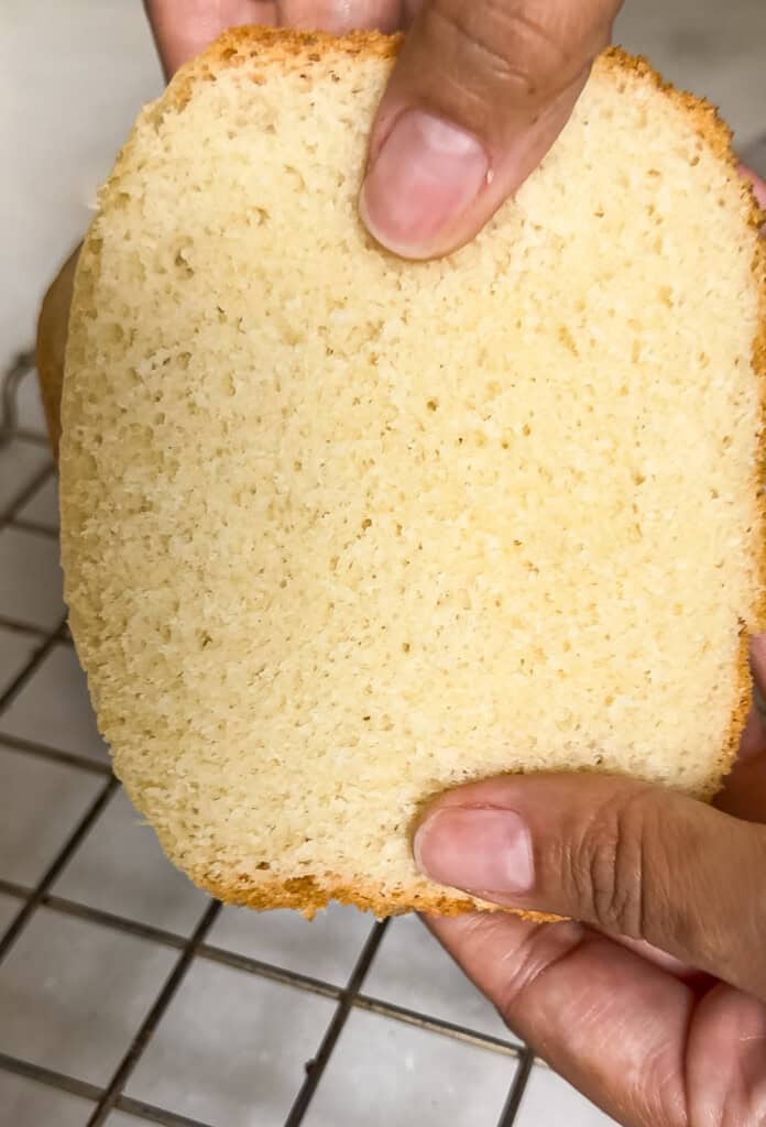 holding a slice of white bread